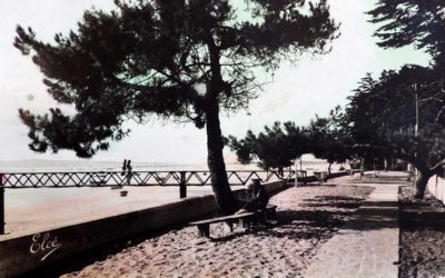 Newsletter | Janvier 2026