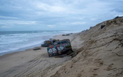 Newsletter | Février 2026